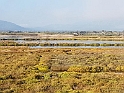 20161023_101103