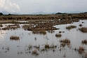 Albufera.20161022_6136