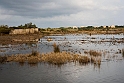 Albufera.20161022_6137