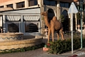Guelmim hotel.20160311_7228