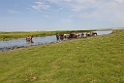 Bayan Lake.20220616_092939
