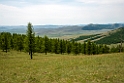 Capecalia forest.202214jun_1023