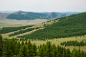 Capecallia forest.202214jun_1025