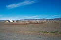 Ger farm.202224jun_1071