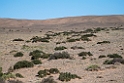 Gobi ørken.202223jun_0775