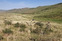 Hustai NP.20220615_165312