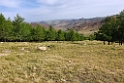 Khangai Mountain.20220618_081616