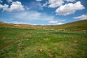 Khangai Mountain.202217jun_1046