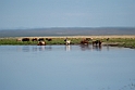Lake Bayan.202216jun_0463