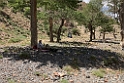 Mongoliet 2022 Bagabagd Mountains 02