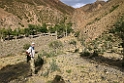 Mongoliet 2022 Bagabagd Mountains 03