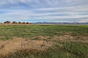Mongoliet 2022 Buuntsagaan Nuur 05