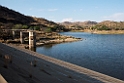 Avis Dam.20141101_1317