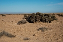 Desert.20141106_1238
