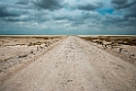 Etosha.20141109_1117