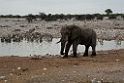 Okaukuejo vandhul.20141108_1210