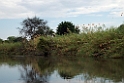 Papurus.20141114_1337