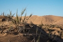 Sand dunes near Walvis Bay.20141105_1250