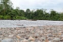 Kolu River.05jul2009_2553