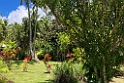 Fiji 2022 1117 Kadavu Papageno Resort 05