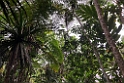 Fiji 2022 1120 Suva Rainforest Lodge 01