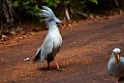 KAGU.202211nov_0141