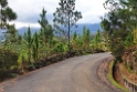 Road to Mont Koghi.202210nov_1157