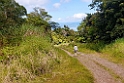 Taveuni mountain.202222nov_1121