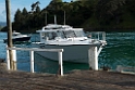 Hauraki Gulf.20121116_5540