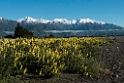 Kaikoura.20121121_6085