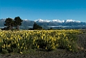 Kaikoura.20121121_6086