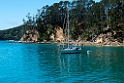 Kawau Reserve.20121116_5749