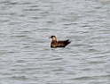 Kjove.20121120_5889