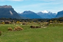 Milford Soundf road.20121124_6699
