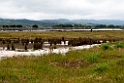 Miranda.20121118_5865
