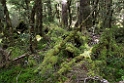Monkey Creek.20121124_6822