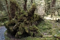 Monkey creek.20121124_6817