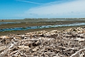 Waikanae Estuary.20121120_6048
