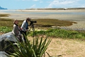 Waipu River Reserve.20121113_5213