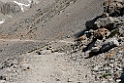 Fuente De.20150608_4840