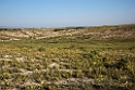 Navarra steppe.20150607_5092