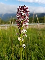 20160610_8554