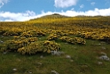 Montana Palentina.20160618_8484