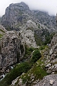 Picos de Europa.20160605_8601