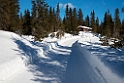 Landskab.20130302_2302