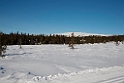 Landskab.20130303_2281