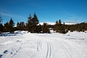 Landskab.20130303_2298