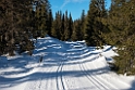 Skispor.20130302_2303