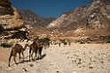 Al Mughsayl.20151120_3389