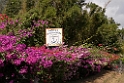ElValle_PAN0039
